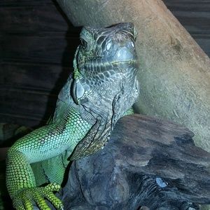 Meet your Posher, Crystal